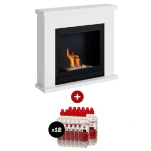 Semineu bioetanol portal Frode alb cu 12L combustibil