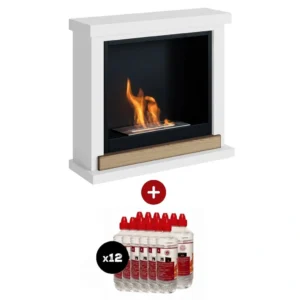 Semineu bioetanol TAGU Hagen alb cu pachet combustibil