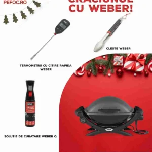 Weber Q1400 - Christmas Pack